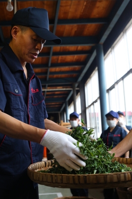 赤峰問道茶居電話多少啊-第1張圖片