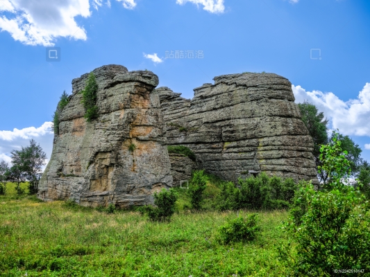 赤峰阿呆寵物店電話號(hào)碼多少-第1張圖片