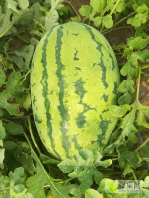 內(nèi)蒙古赤峰生鮮超市電話號(hào)碼-第1張圖片