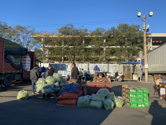 赤峰火花路蔬菜市場(chǎng)電話號(hào)碼-第1張圖片