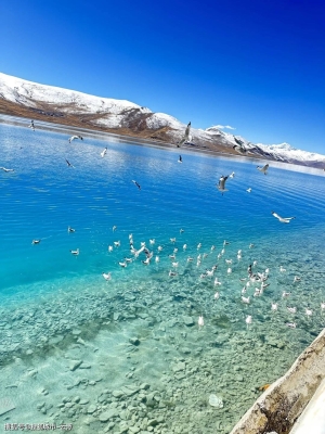 赤峰楊臣診所電話多少號(hào)碼-第1張圖片