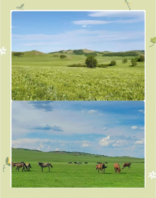 赤峰天旭太陽能客服電話號碼-第1張圖片