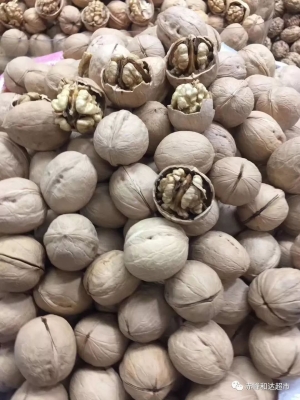 赤峰賣花盆直播間電話號碼是多少-第1張圖片