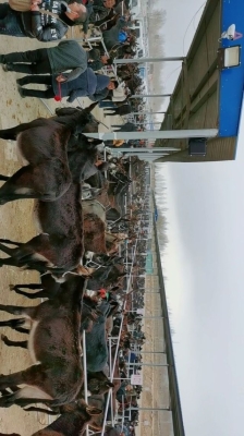 赤峰市敖漢旗遺物捐贈電話號碼-第1張圖片