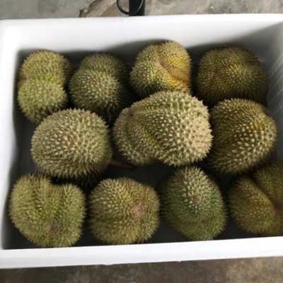 赤峰雨潤榴蓮批發(fā)電話號碼查詢-第1張圖片