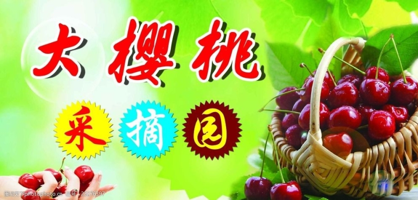 赤峰市大櫻桃采摘園電話號碼-第1張圖片