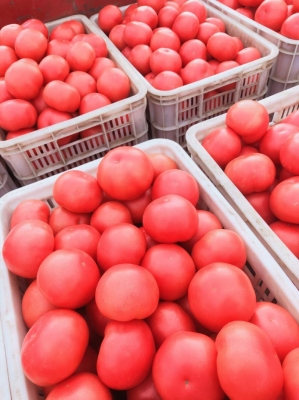 赤峰新上煉鋅廠地址電話是多少-第1張圖片