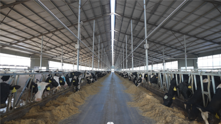 赤峰立通檢測(cè)站電話多少號(hào)-第1張圖片