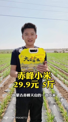 赤峰高檔小米手機(jī)店電話(huà)號(hào)碼-第1張圖片