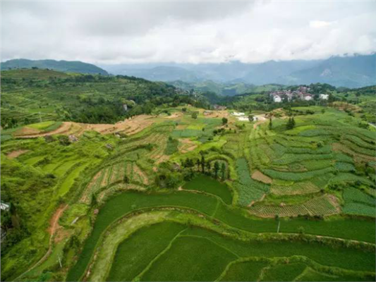 赤峰田野露營(yíng)基地電話號(hào)碼查詢-第1張圖片