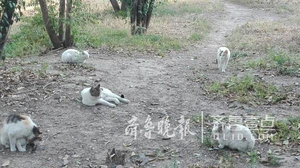 赤峰市送水貓電話地址查詢-第1張圖片