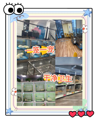 赤峰寵物店聯(lián)系方式-第1張圖片