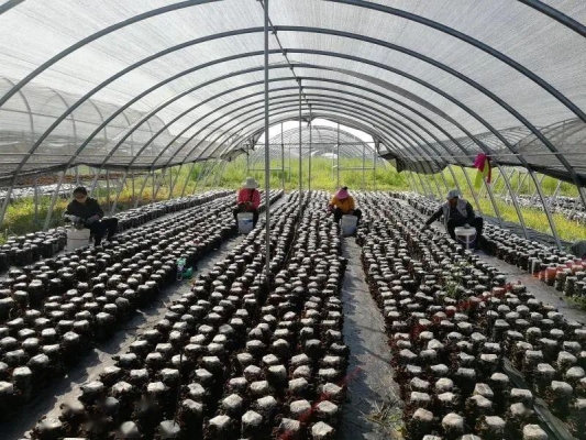 赤峰百姓求助電臺(tái)電話號(hào)碼-第1張圖片