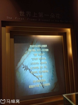 赤峰七夕鮮花店電話號碼-第1張圖片