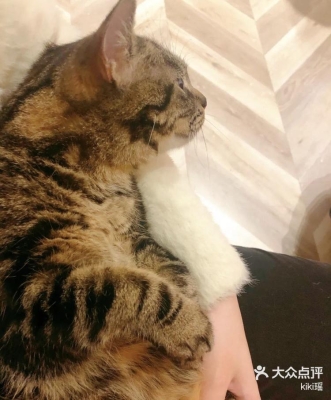 赤峰寵樂萌樂園電話多少號-第1張圖片