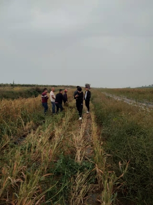 赤峰文鐘景區(qū)電話號碼查詢是多少-第1張圖片