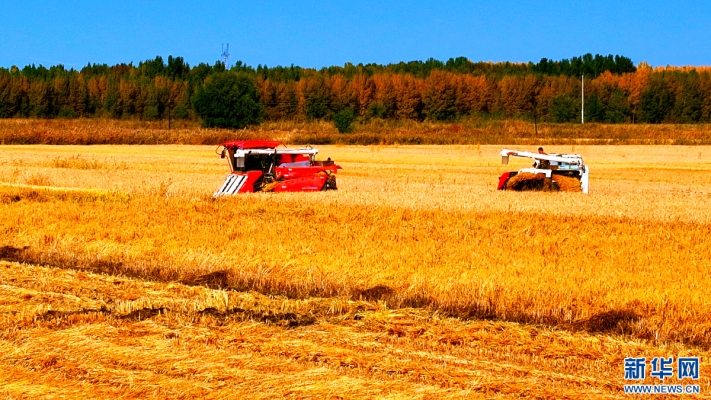 赤峰華聯(lián)稻草人電話號碼查詢-第1張圖片