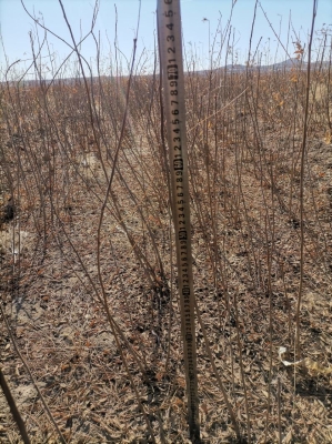 赤峰賣吸鐵石的電話地址是多少-第1張圖片