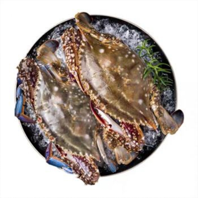 赤峰海鮮梭子蟹批發(fā)電話號碼-第1張圖片