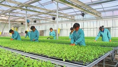 赤峰新士力游泳館電話號(hào)碼-第1張圖片