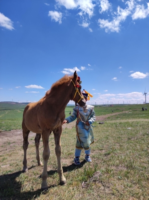 赤峰市歡樂(lè)牧場(chǎng)電話(huà)號(hào)碼查詢(xún)-第1張圖片