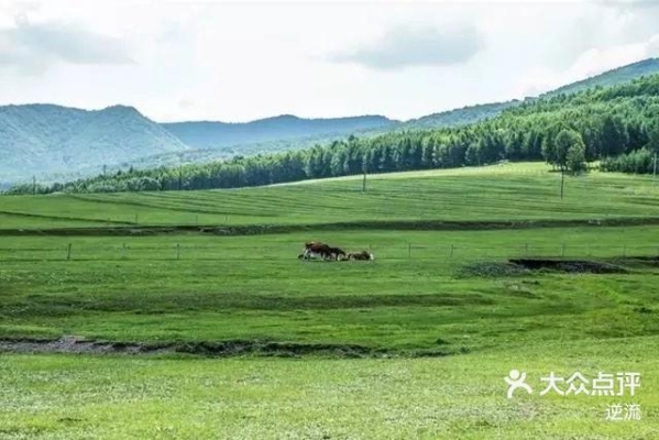 赤峰錦山蘋果手機店電話地址-第1張圖片