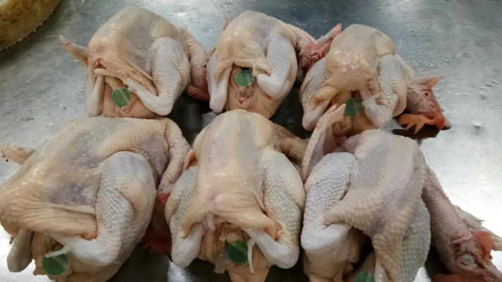 赤峰老鵝屠宰電話多少啊-第1張圖片