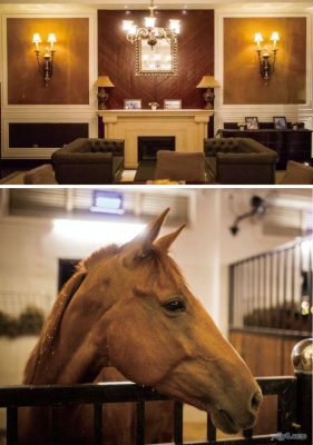 赤峰市鴻風馬術館電話號碼-第1張圖片