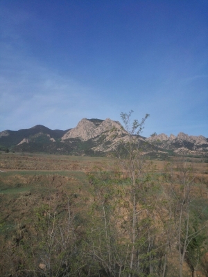 赤峰到寧城拼車電話號碼是多少-第1張圖片