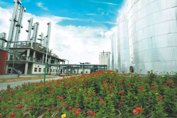 赤峰市冶金開發(fā)管委會(huì)電話號(hào)碼-第1張圖片