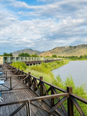 赤峰平莊老式辣串電話地址查詢-第1張圖片