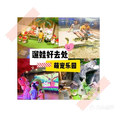 赤峰萌寵寵物樂(lè)園電話(huà)多少號(hào)-第1張圖片