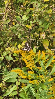 赤峰云熙美容院地址電話號碼-第1張圖片