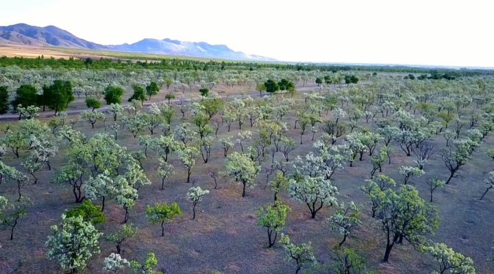 赤峰無人機旅游景點電話號碼-第1張圖片