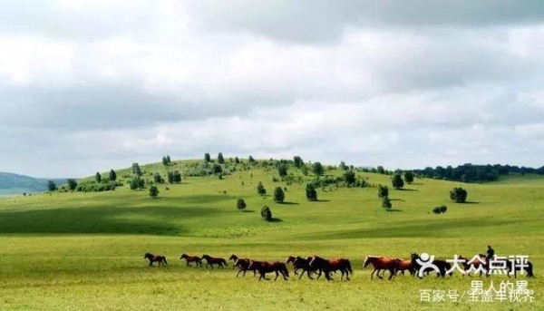 赤峰百家精選酒店地址電話(huà)號(hào)碼-第1張圖片