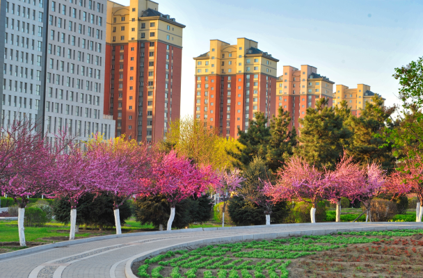赤峰市面子王飯店地址電話號碼-第1張圖片