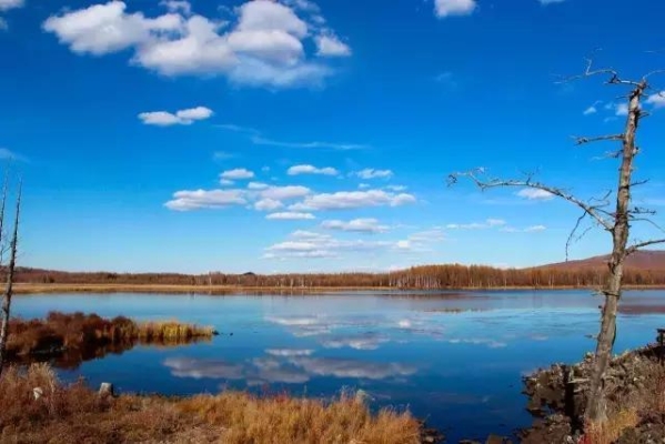 赤峰浪淘花洗浴電話號碼查詢-第1張圖片