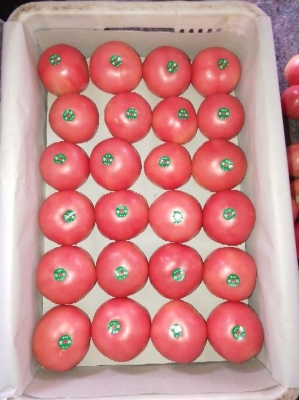 赤峰寧城壽司店電話多少號-第1張圖片