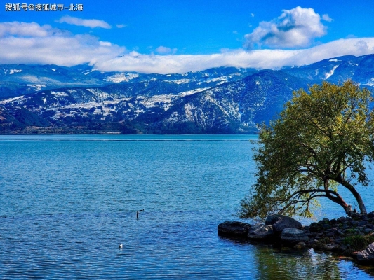 赤峰紅山水庫(kù)拼車群電話號(hào)碼-第1張圖片