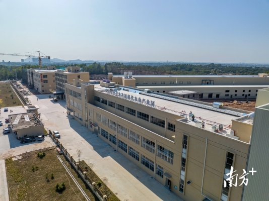 赤峰生豬加工廠家電話號碼-第1張圖片