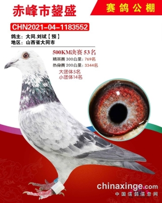 赤峰拍賣平臺官網(wǎng)電話號碼查詢-第1張圖片