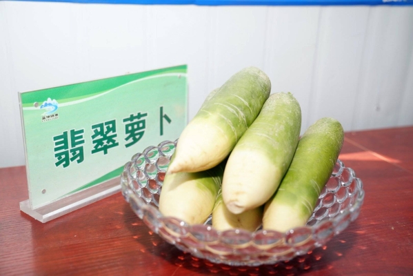 赤峰綠禾小米種植基地電話號(hào)碼-第1張圖片