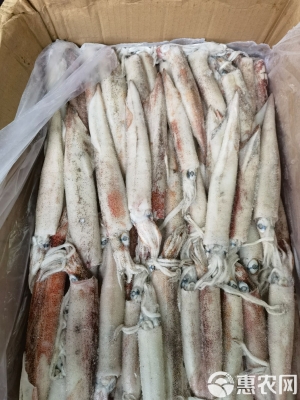 赤峰魷魚須凍貨批發(fā)電話號(hào)碼-第1張圖片