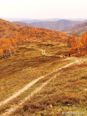 赤峰阿寺理發(fā)店電話地址查詢(xún)-第1張圖片