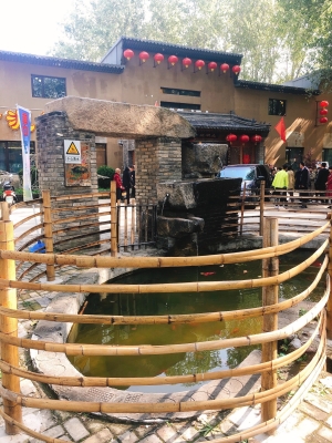 赤峰扒豬臉店電話號(hào)碼多少-第1張圖片