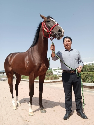 赤峰彩虹橋馬戲團電話號碼-第1張圖片