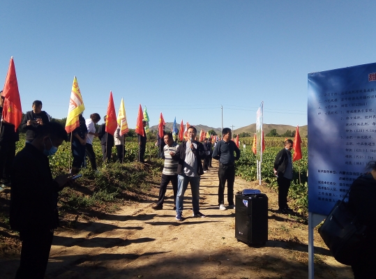 赤峰農(nóng)業(yè)舉報電話是多少號-第1張圖片