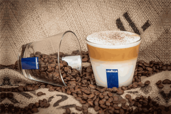 赤峰閃閃貓舍咖啡店電話號碼-第1張圖片