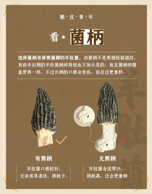 赤峰收購羊肚菌電話號碼多少-第1張圖片