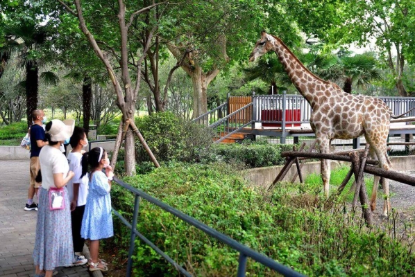 赤峰漢服動物園電話多少號-第1張圖片